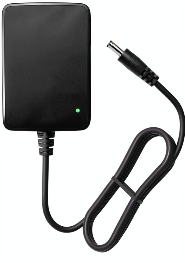 BENSN 12V Electric Scooter Charger Automatic Power Detection-0