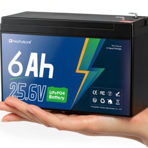 HeyFuture 24V LiFePO4 Battery Long Cycle Life Universal Fit-0