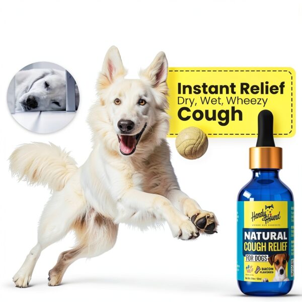 Handy Hound Dog Cough Medicine Manuka Honey Natural Relief-2